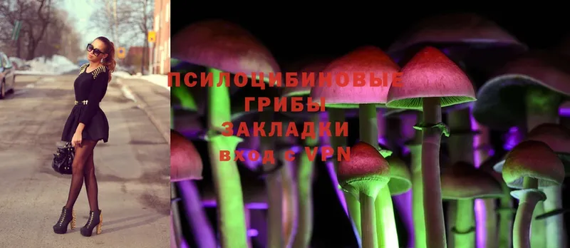 Галлюциногенные грибы Psilocybe  мориарти наркотические препараты  Лахденпохья 